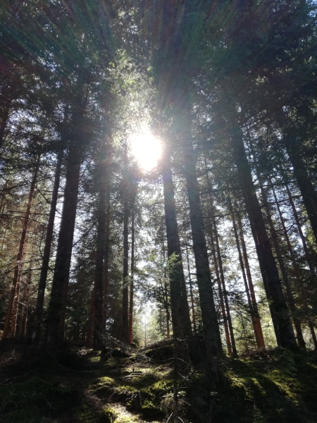 Parte von Andreas Sintitsch