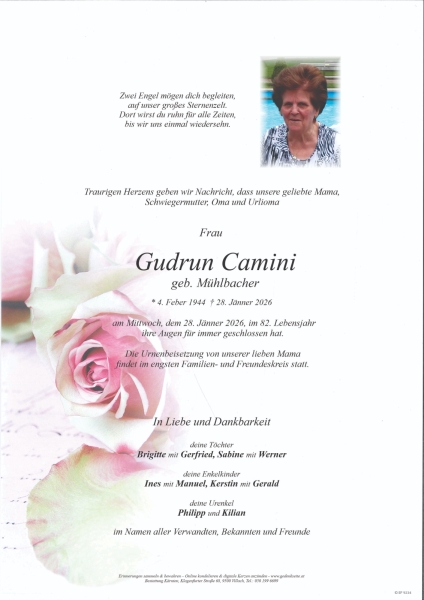 Parte von Gudrun Camini