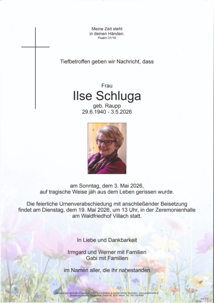 Parte von Ilse Schluga